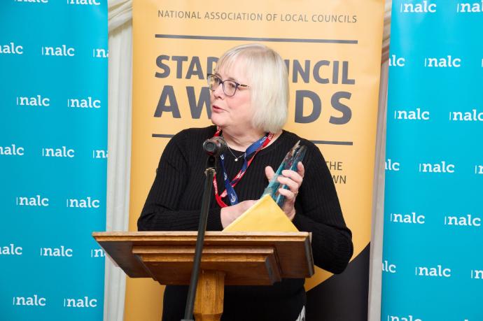 Star Council Award
